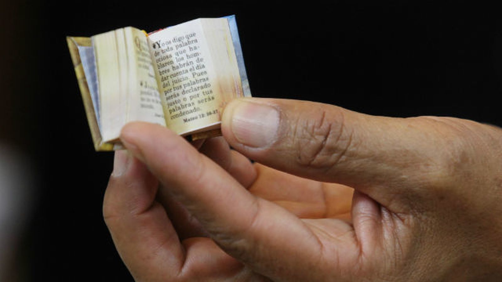Vista de un mini libro