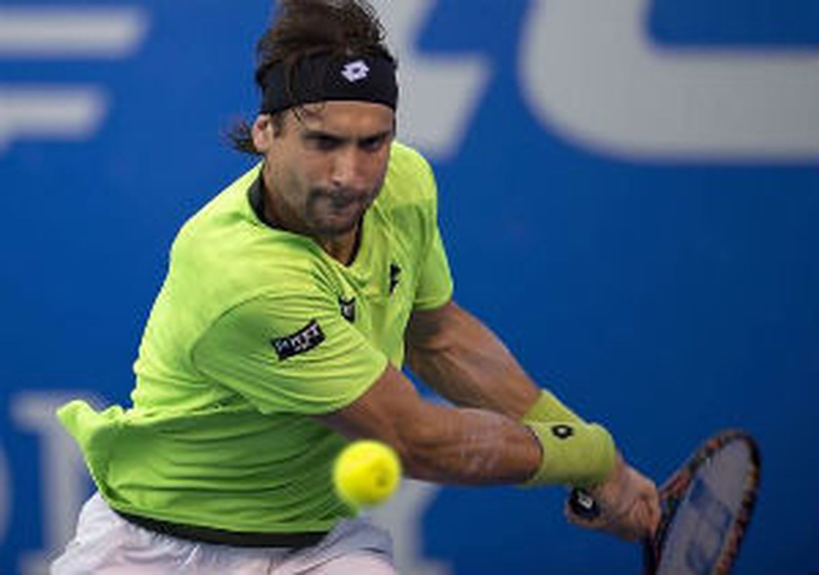 David Ferrer