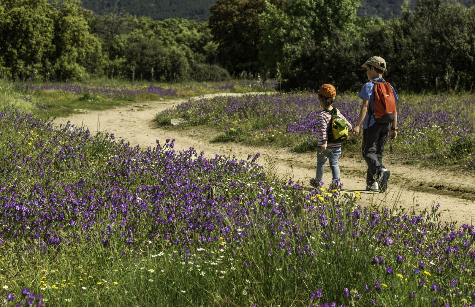 Dos niños caminando por la naturaleza