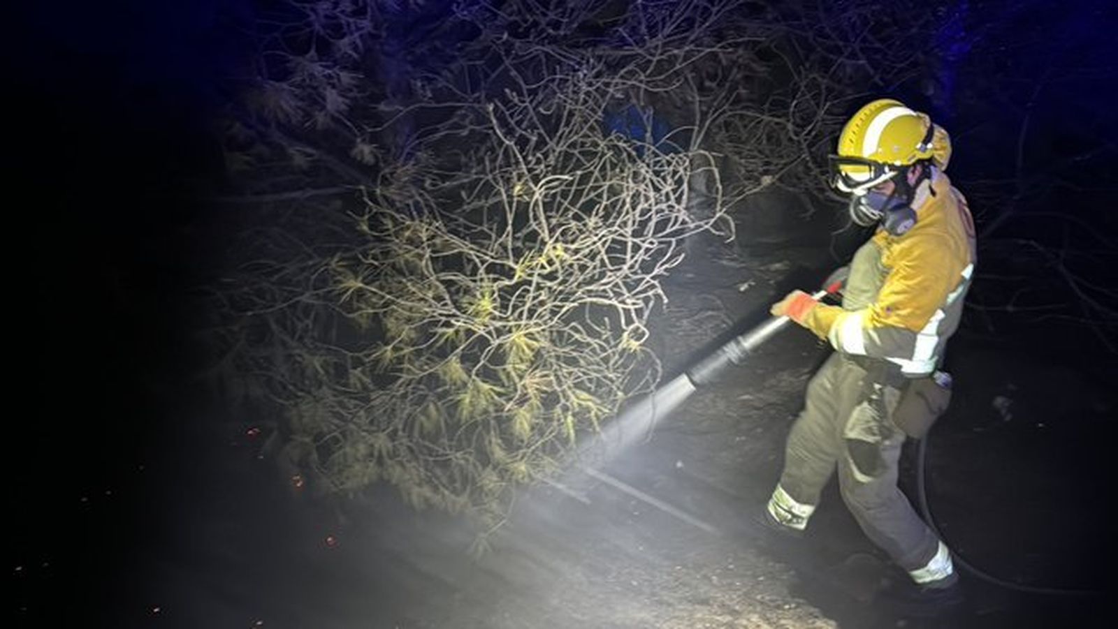 Incendio forestal en Rivas Vaciamadrid