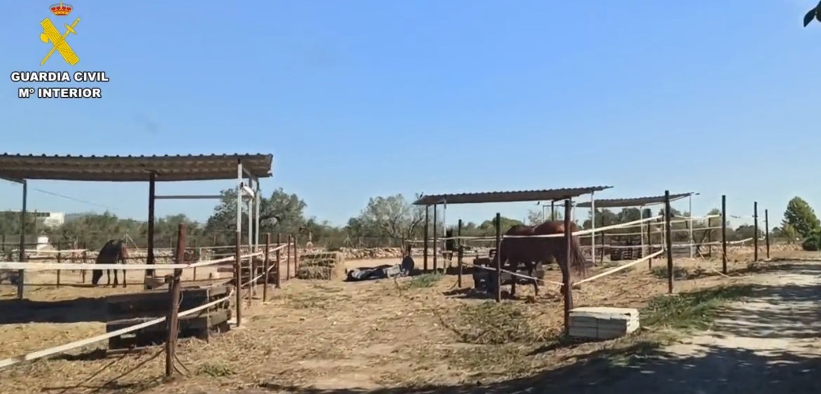 Dos detenidos por explotar a un inmigrante en un centro hípico de Tarragona