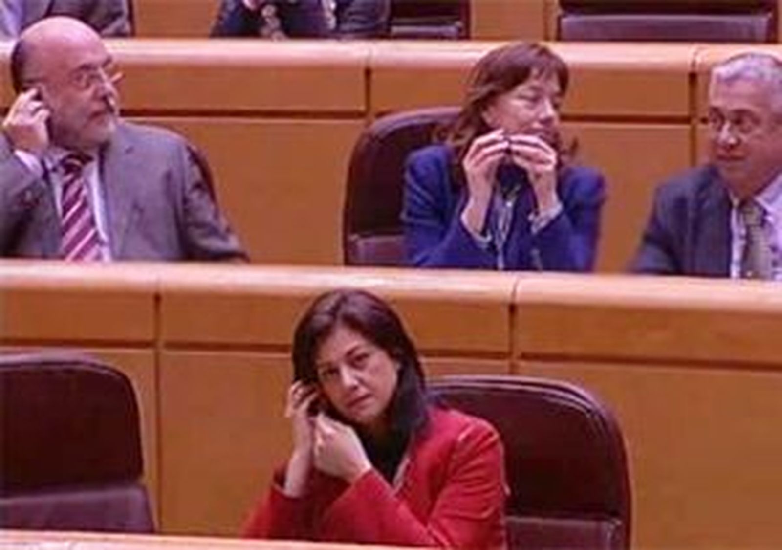 Reacciones a las polémicas traducciones simultáneas en el Senado