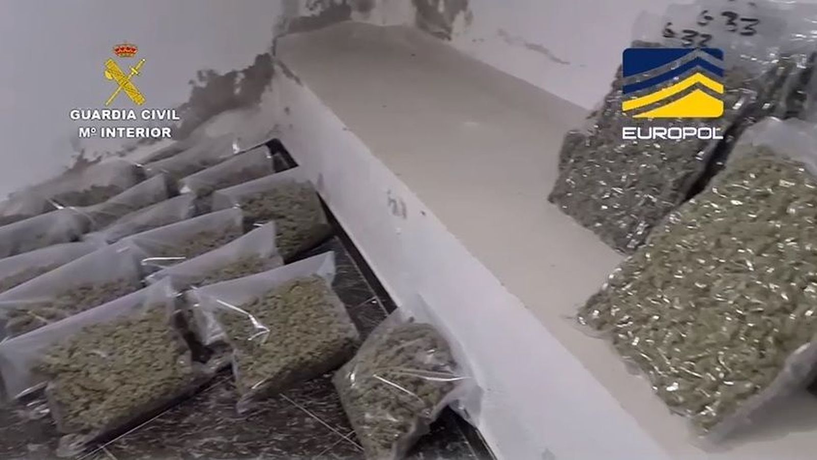 Detenidas 44 personas en una operación internacional contra el tráfico de drogas
