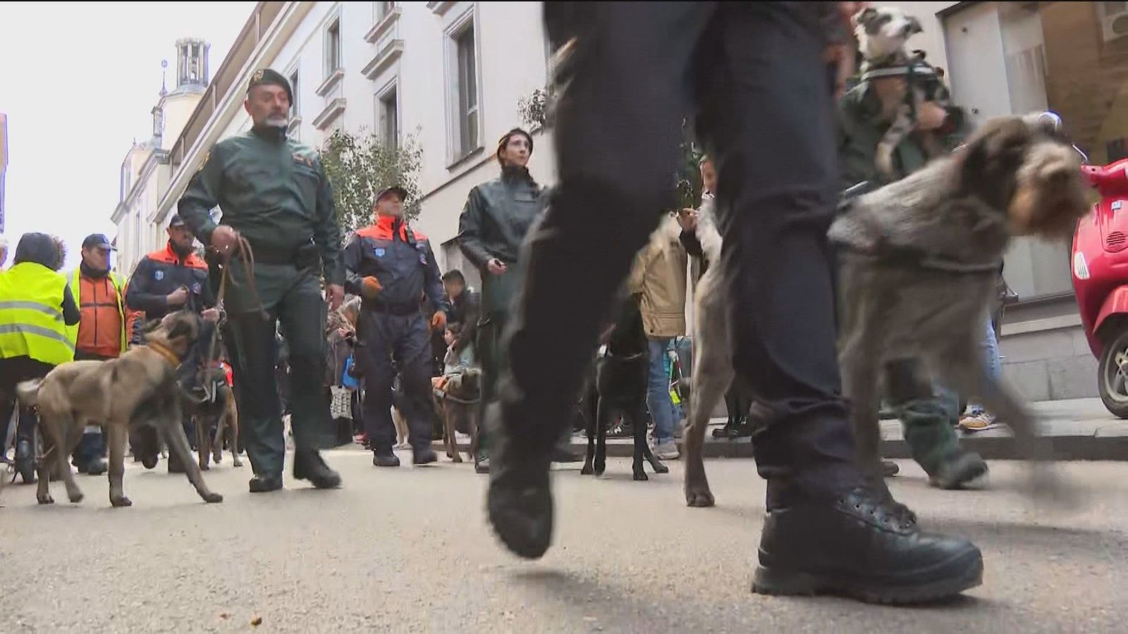 Las tradicionales 'vueltas' de San Antón regresan al centro de Madrid