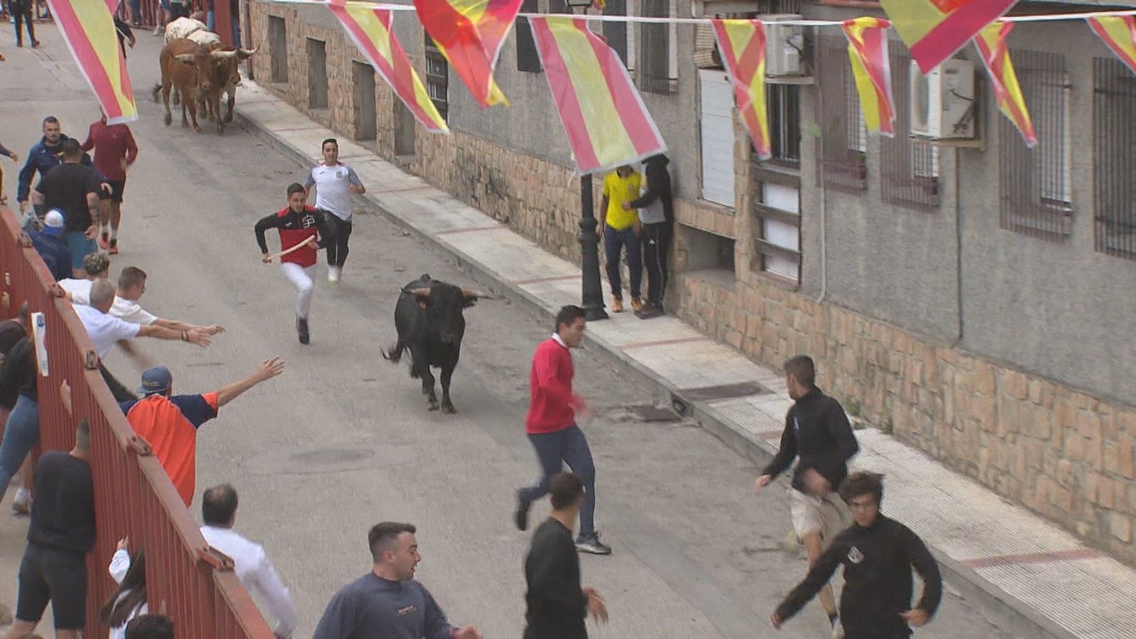 Encierro limpio y sin incidentes en Aldea del Fresno por las fiestas patronales