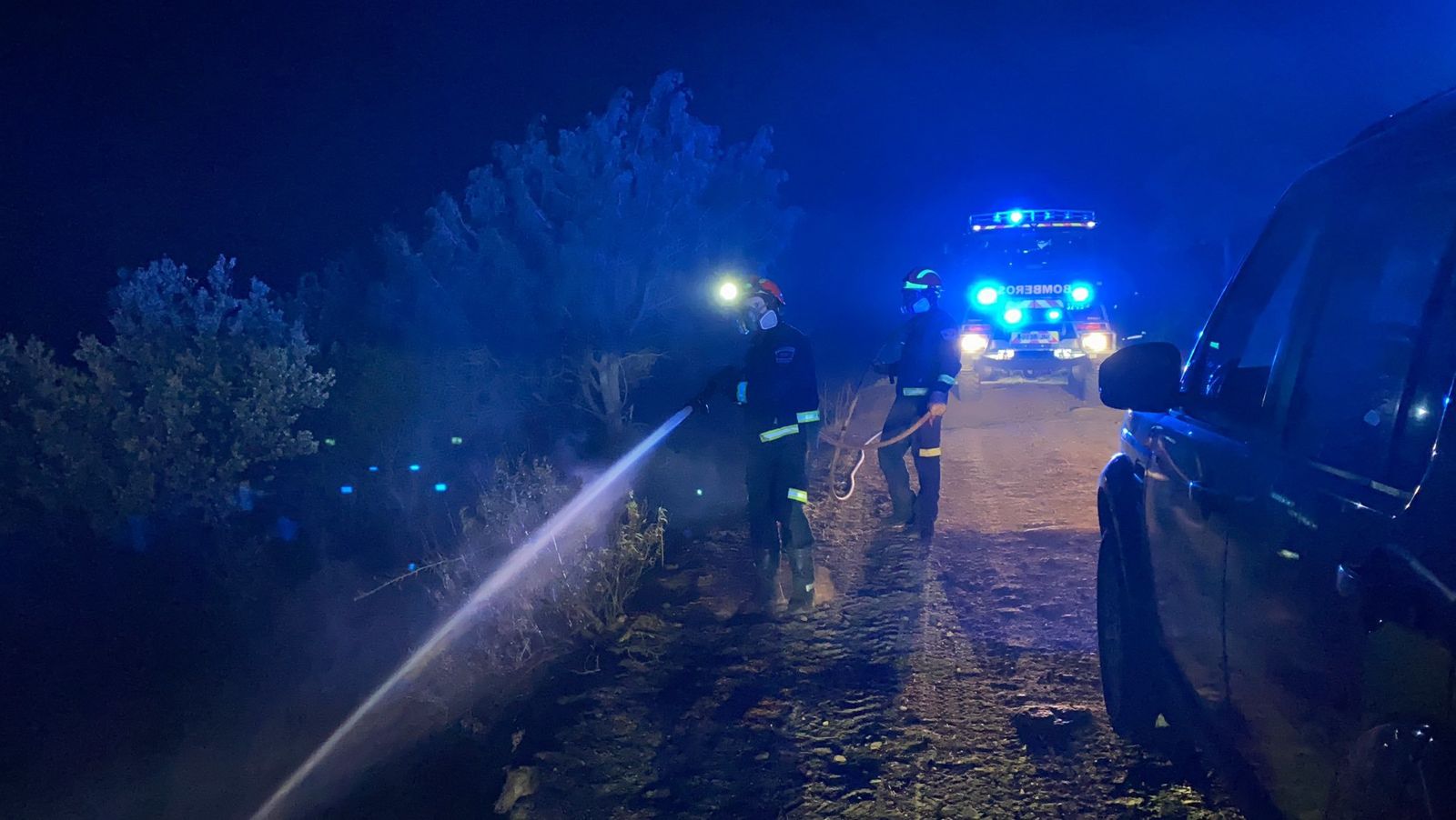 Incendio forestal en Robledo de Chavela