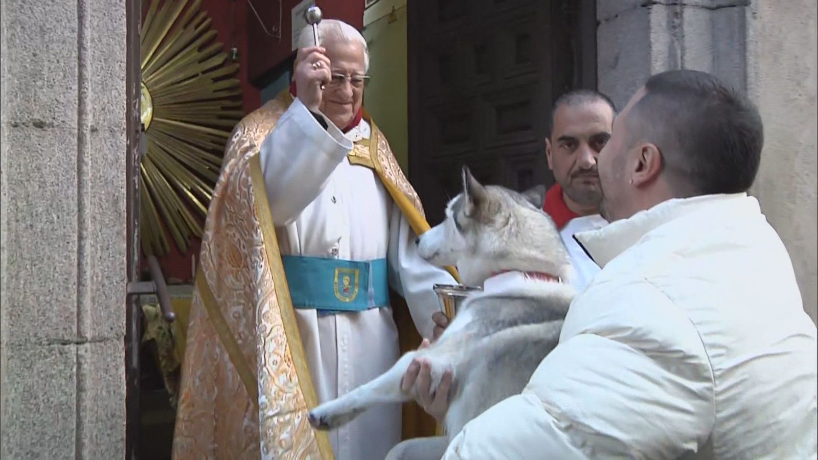 Bari, Golfo, Bon Jovi... las mascotas madrileñas reciben su bendición por San Antón