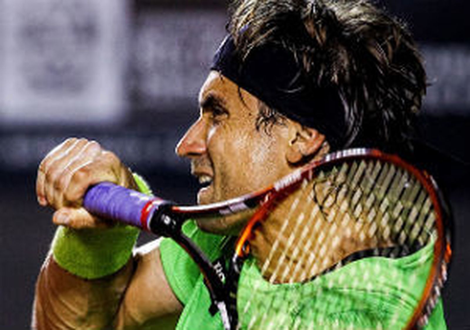 David Ferrer