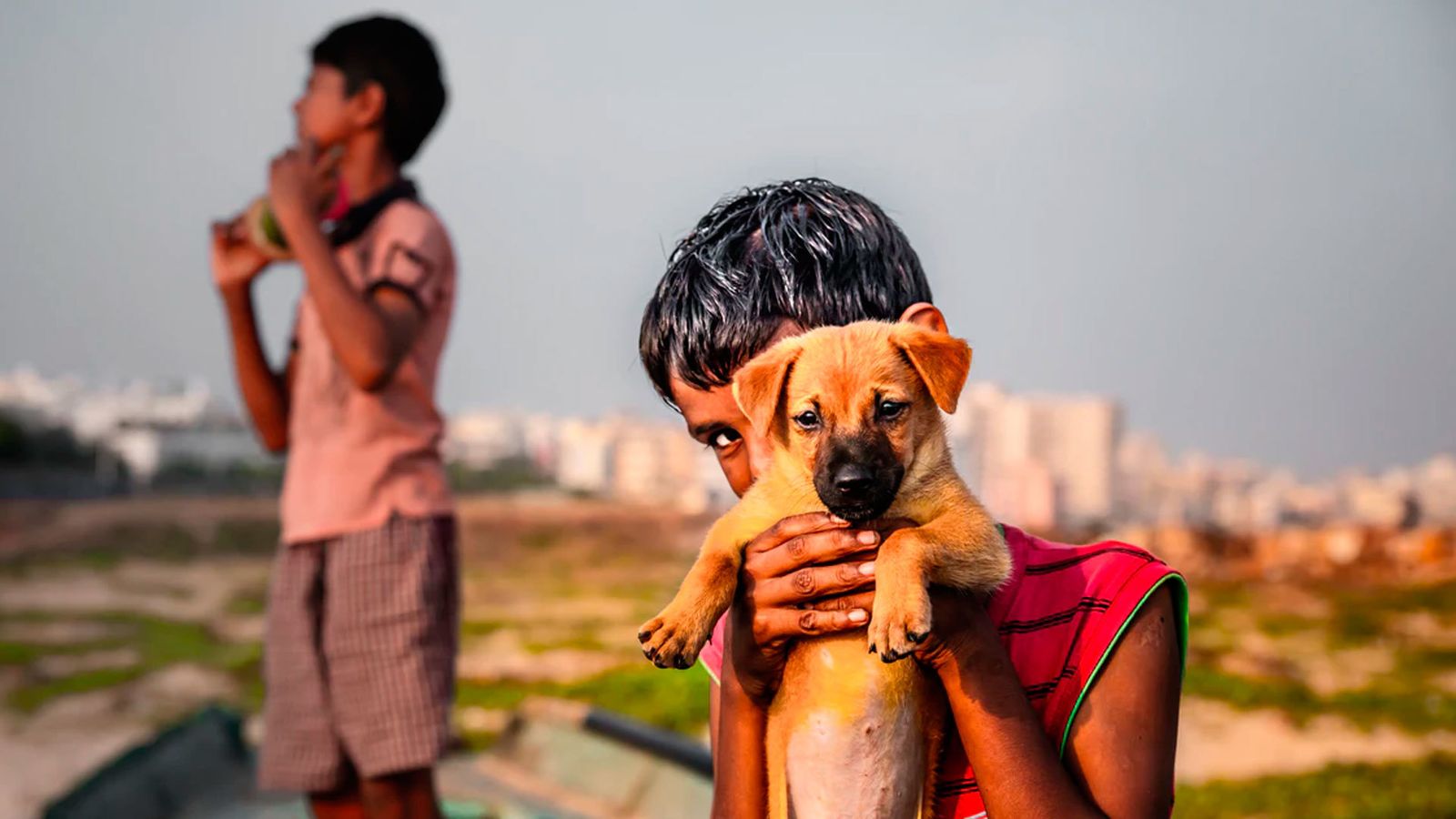 Un niño sostiene un cachorro de perro