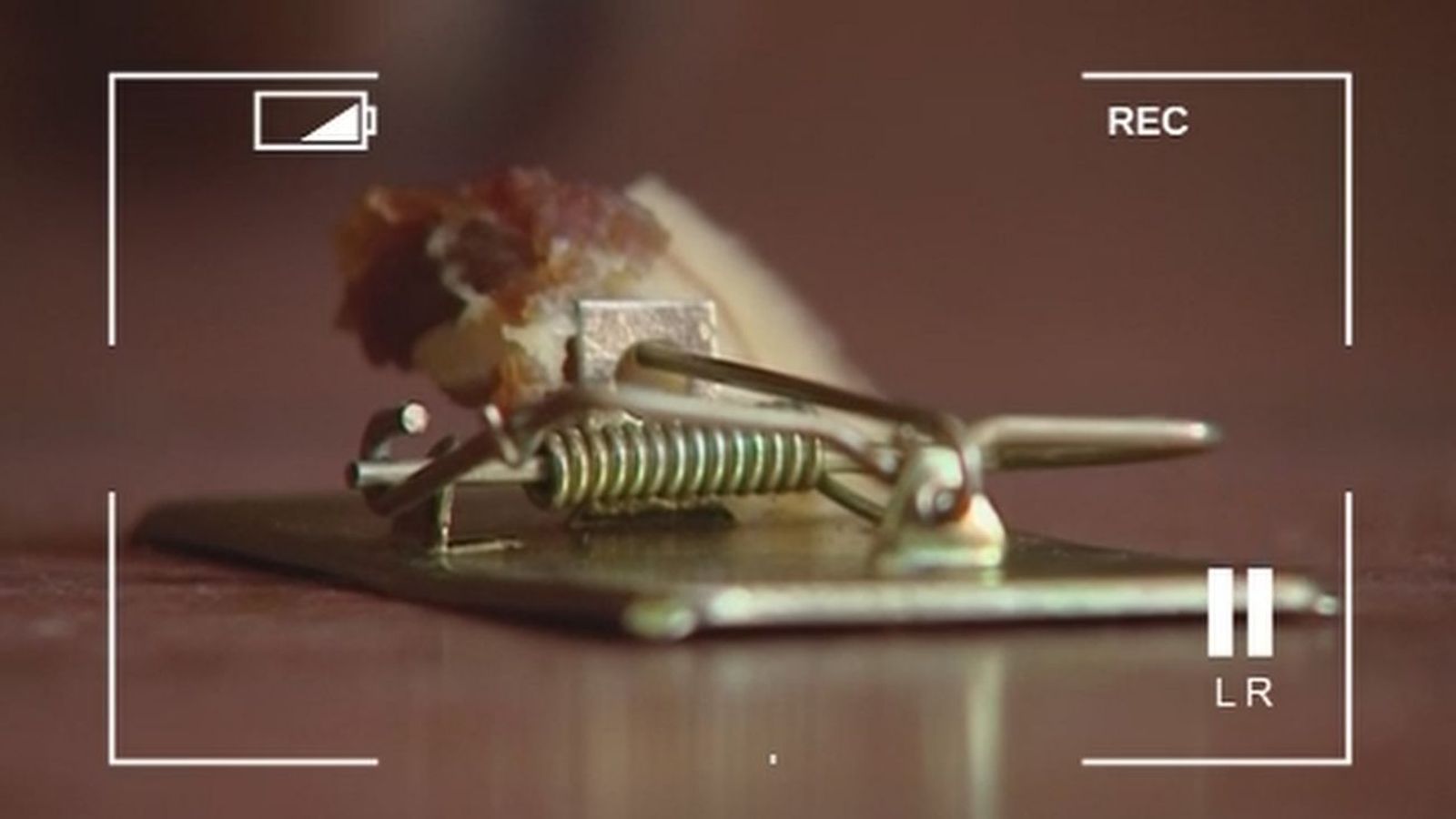 Hartos de las ratas en San Sebastián de los Reyes
