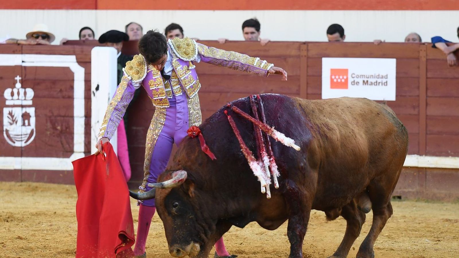 Las Ventas acoge por primera vez la final de la Copa Chenel, en directo en Telemadrid