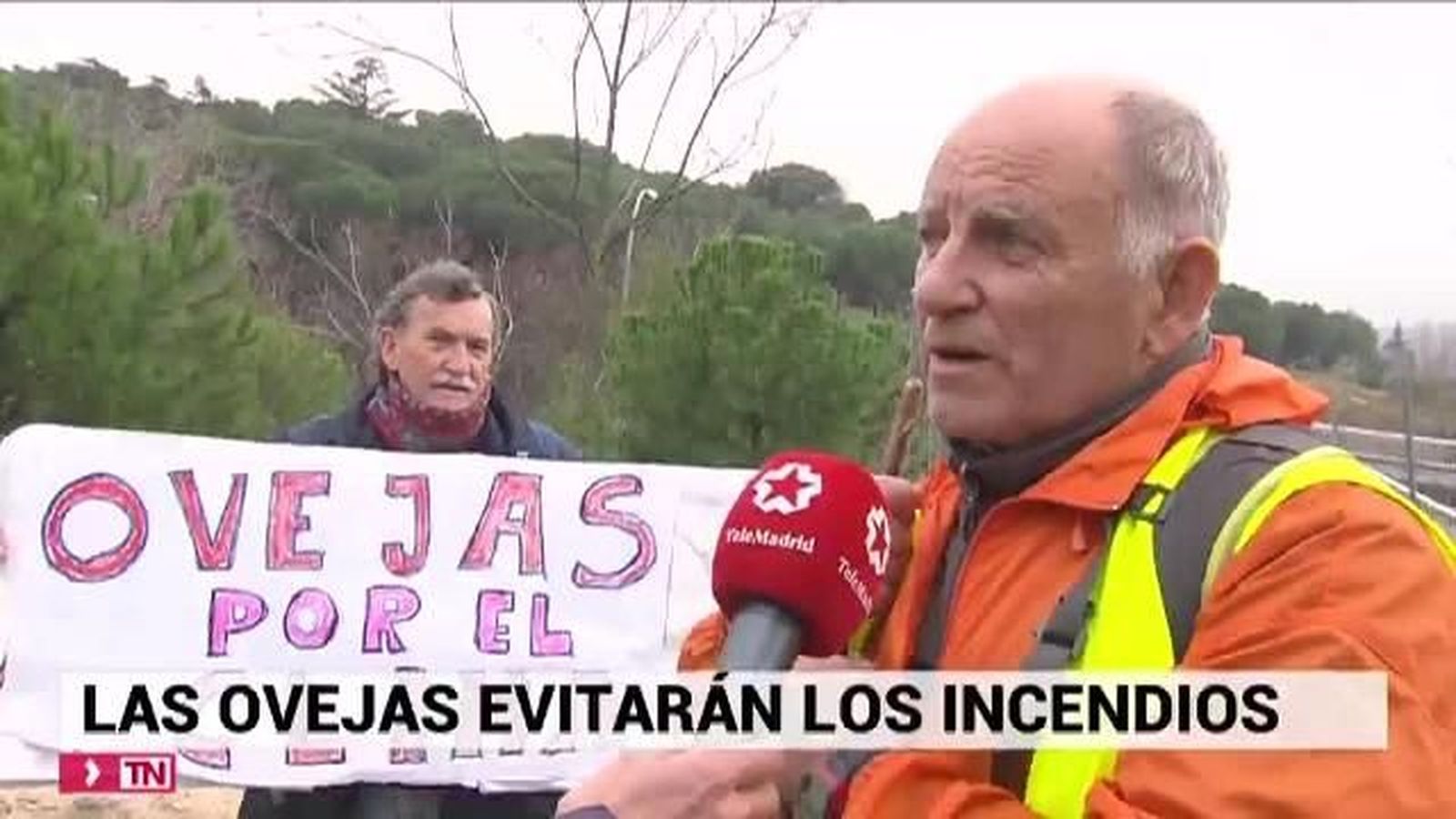 Telenoticias Fin de Semana 08.12.2019