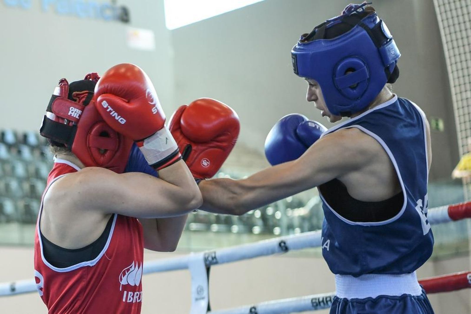 Federación Española de Boxeo