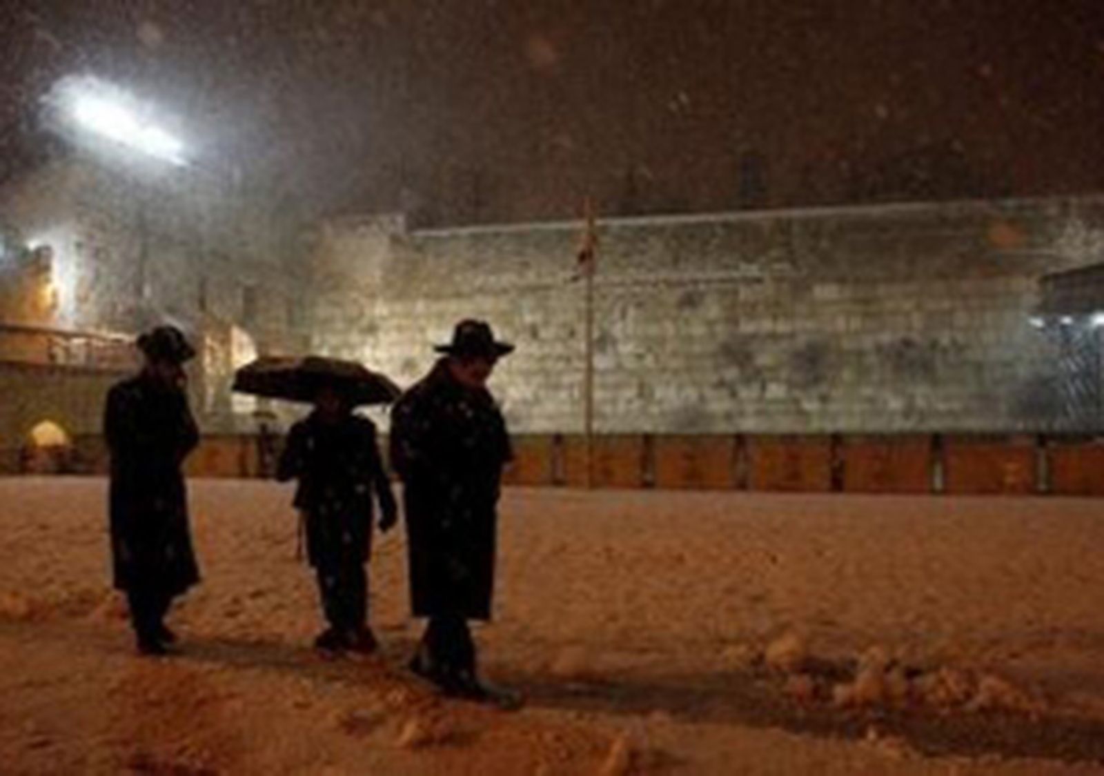 nieve_tomernta_jerusalen