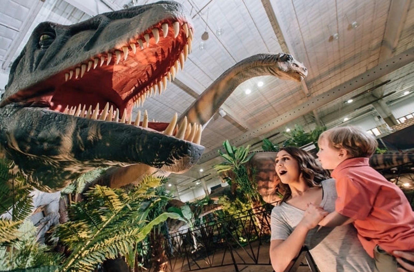 'La isla de los dinosaurios' llega al centro comercial Xanadú