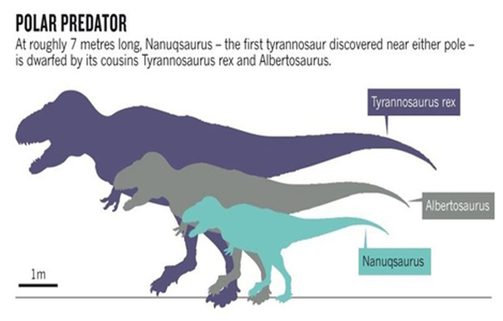 dinosaurio_fosil_2