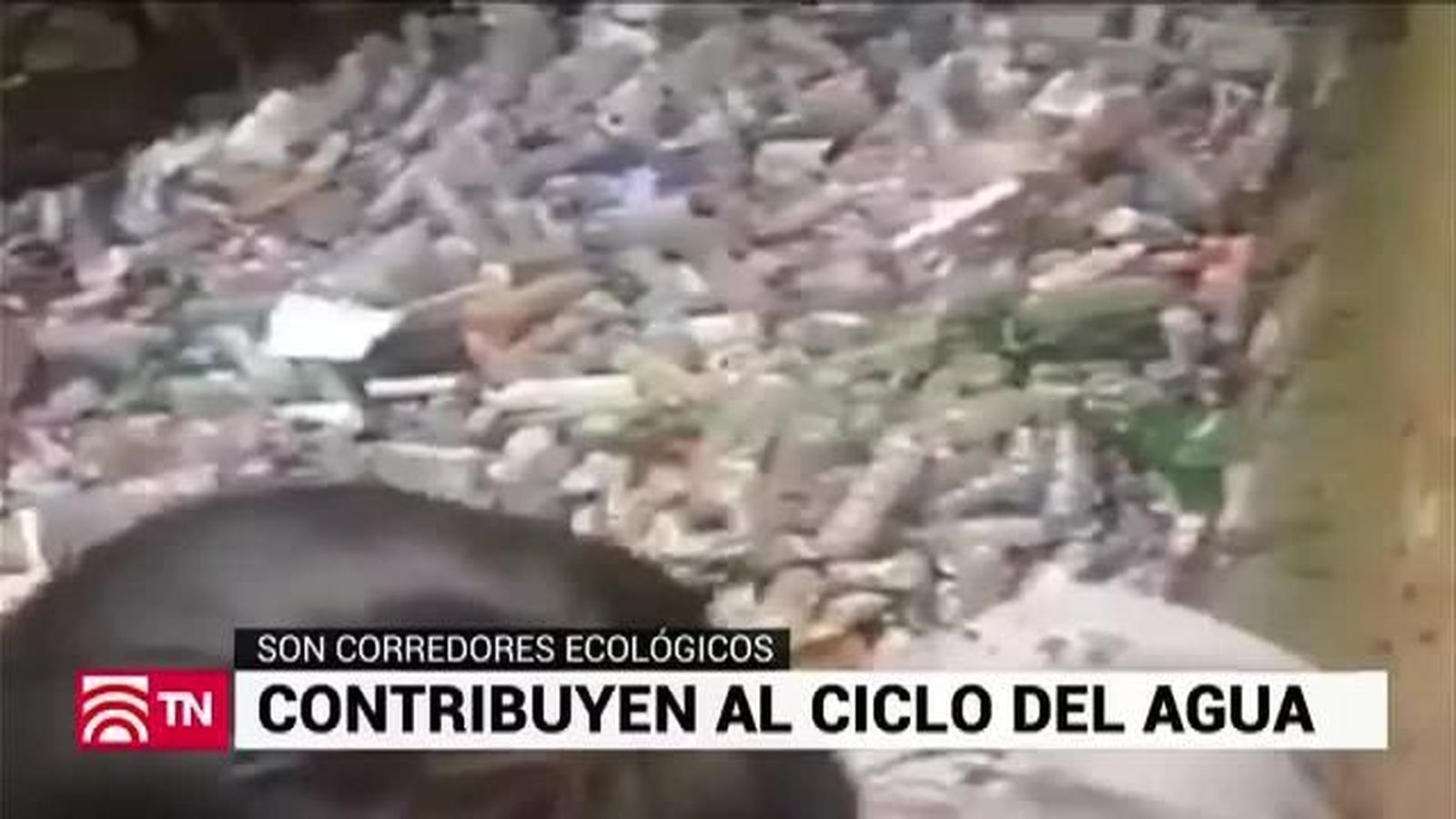 El Tiempo 14.03.2019