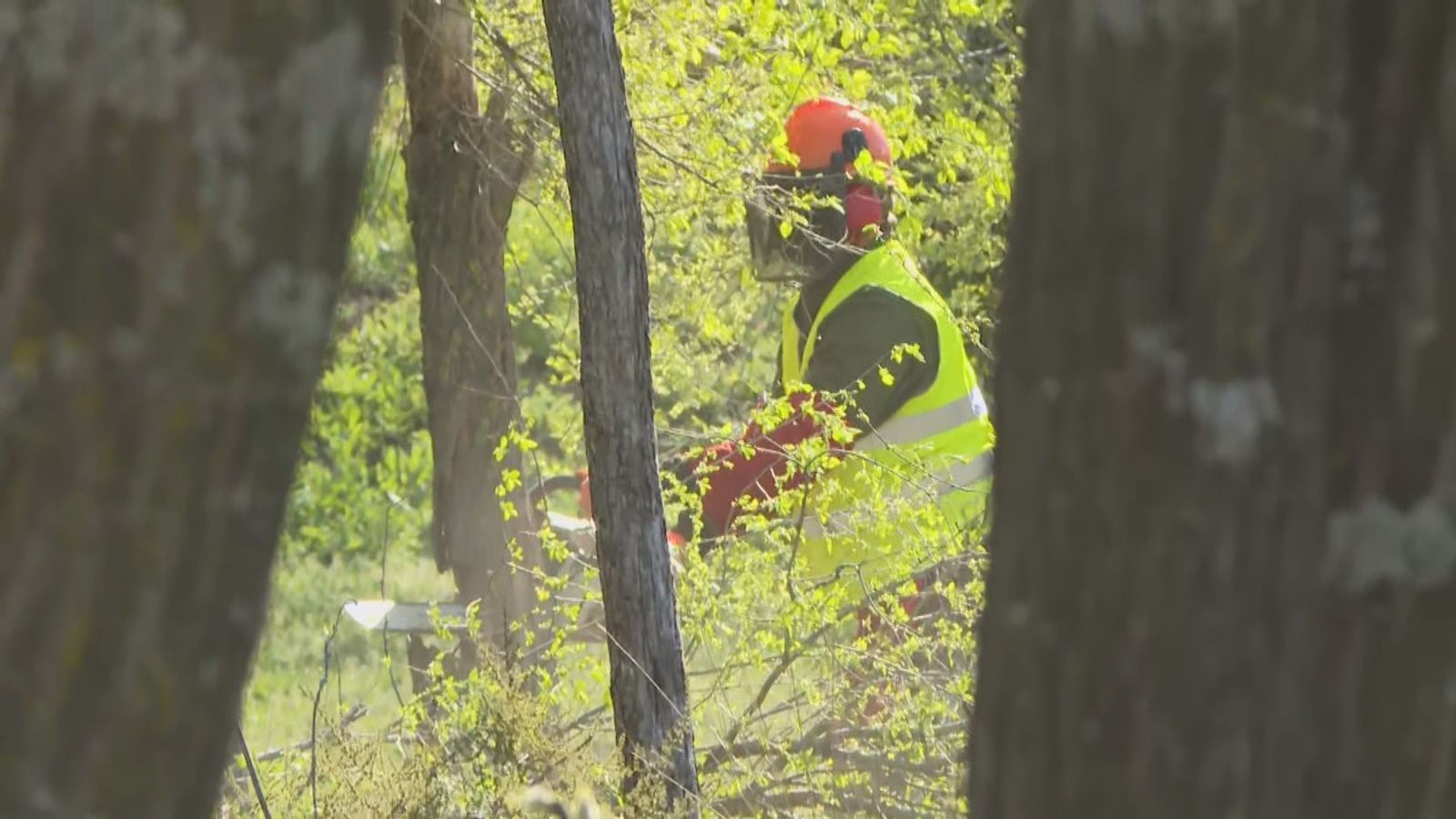 Tala de árboles en la parcela donde se planea instalar el cantón de limpieza de Montecarmelo