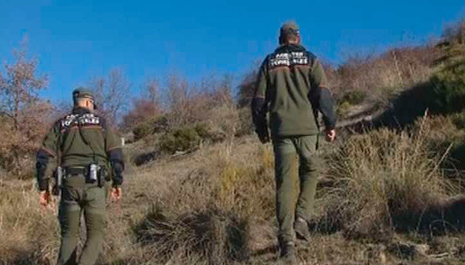 Agentes forestales