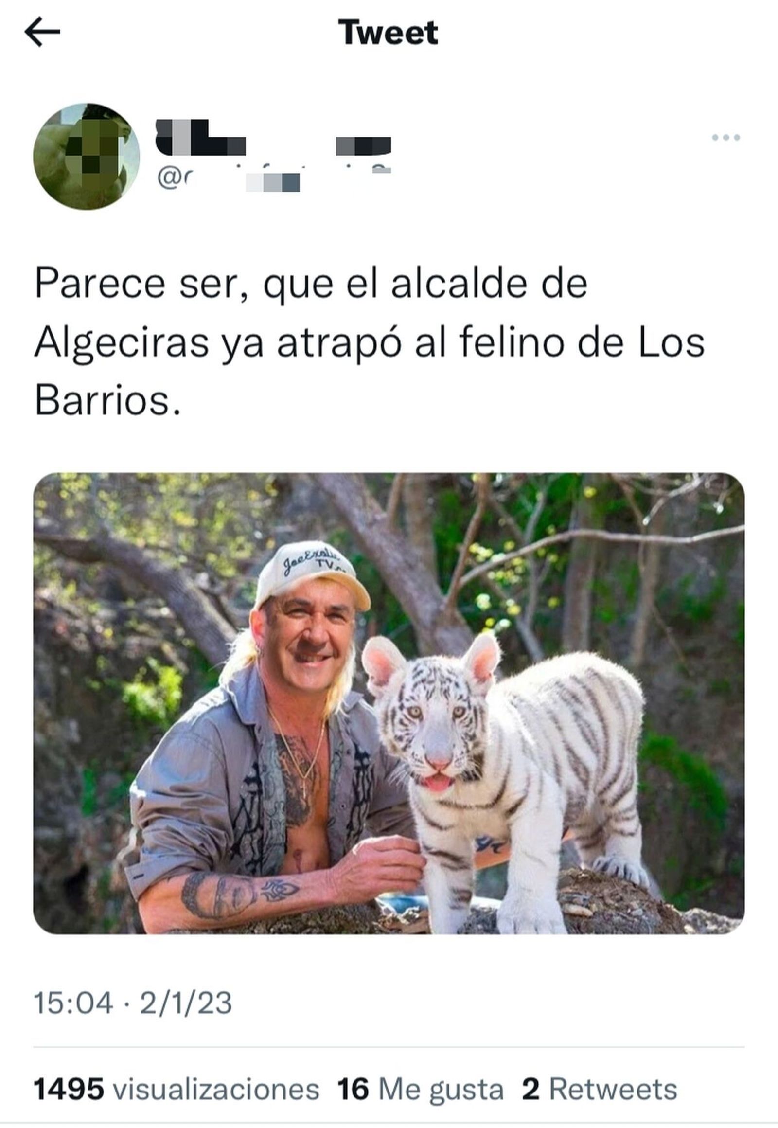 Meme felino de Cádiz