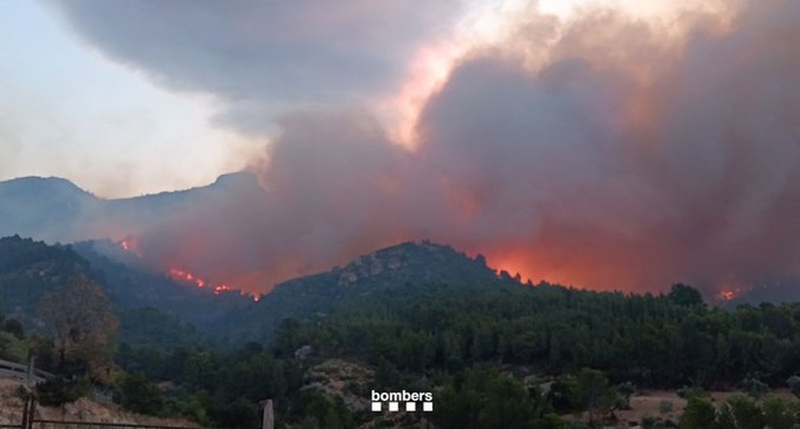 Ayuso, Sanz, y Sánchez ofrecen recursos para acabar con el incendio de Tarragona