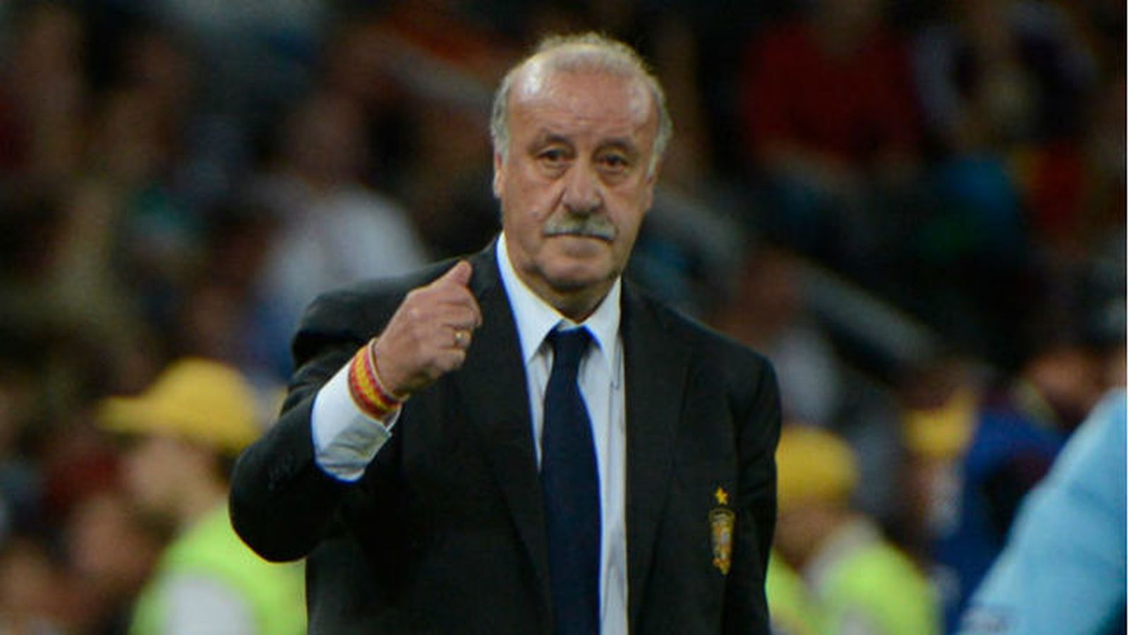 Vicente del Bosque