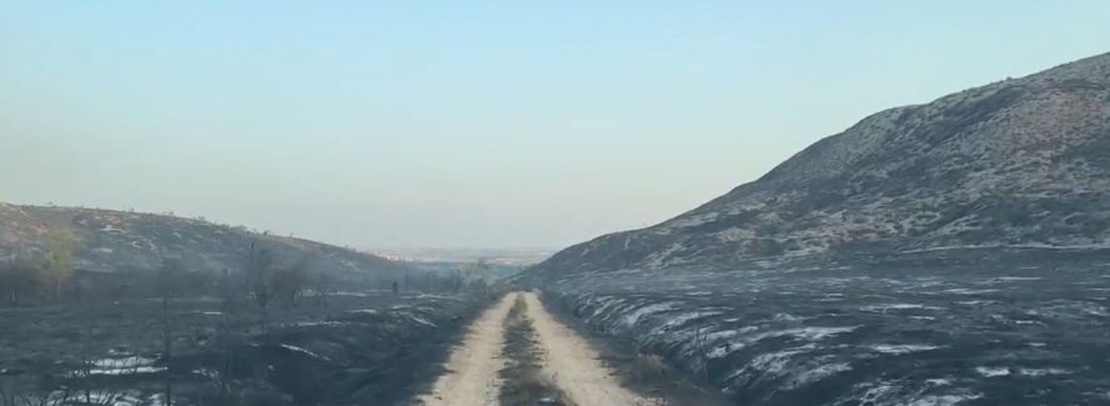 Terrenos afectados por el fuego en Aranjuez, en el incendio del 8 de agosto de 2025