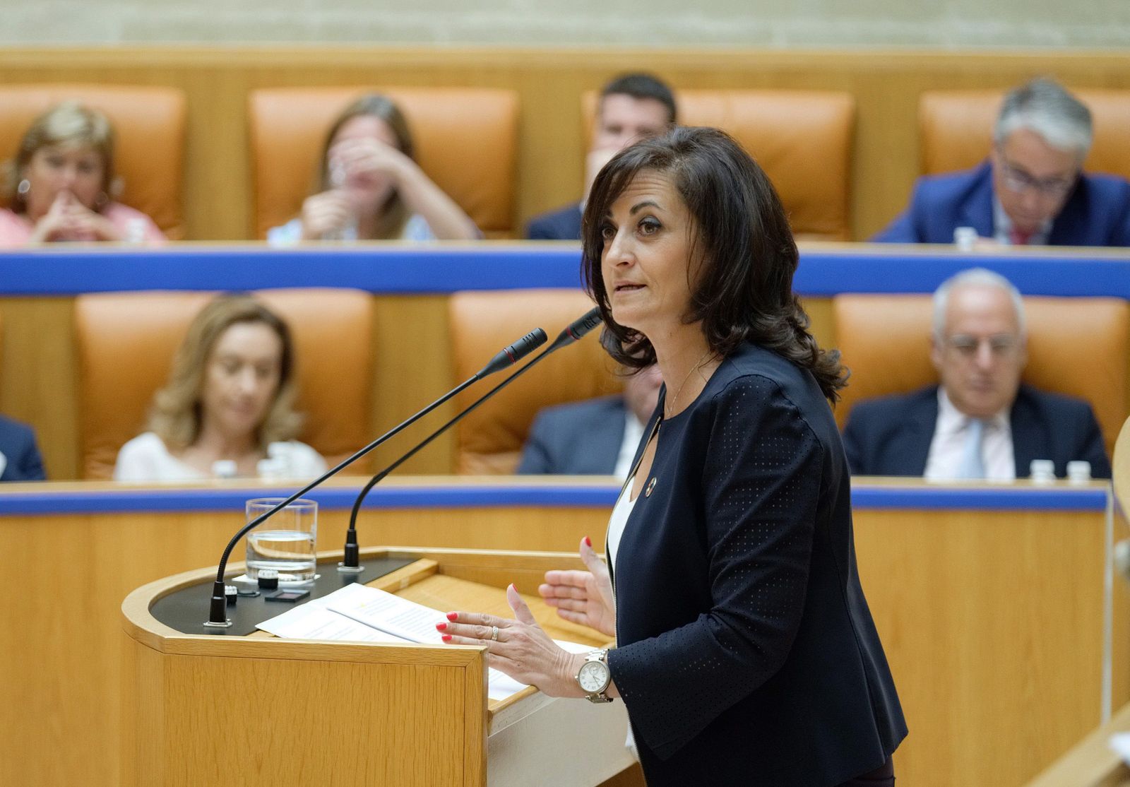 La candidata socialista a la Presidencia del Gobierno riojano, Concha Andreu