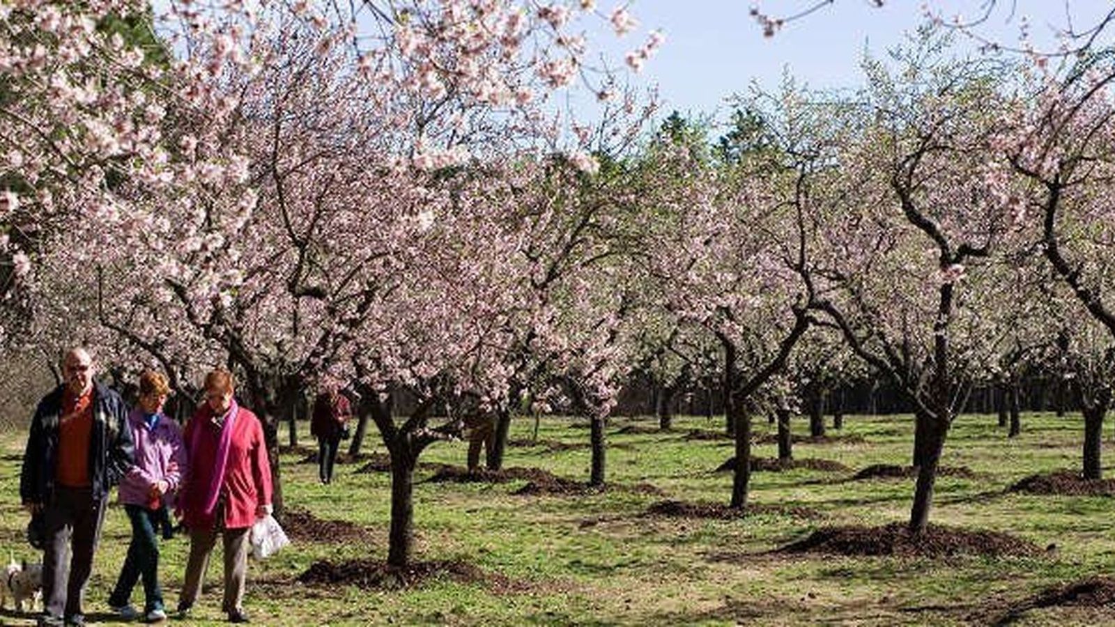 Parque Quinta de los Molinos