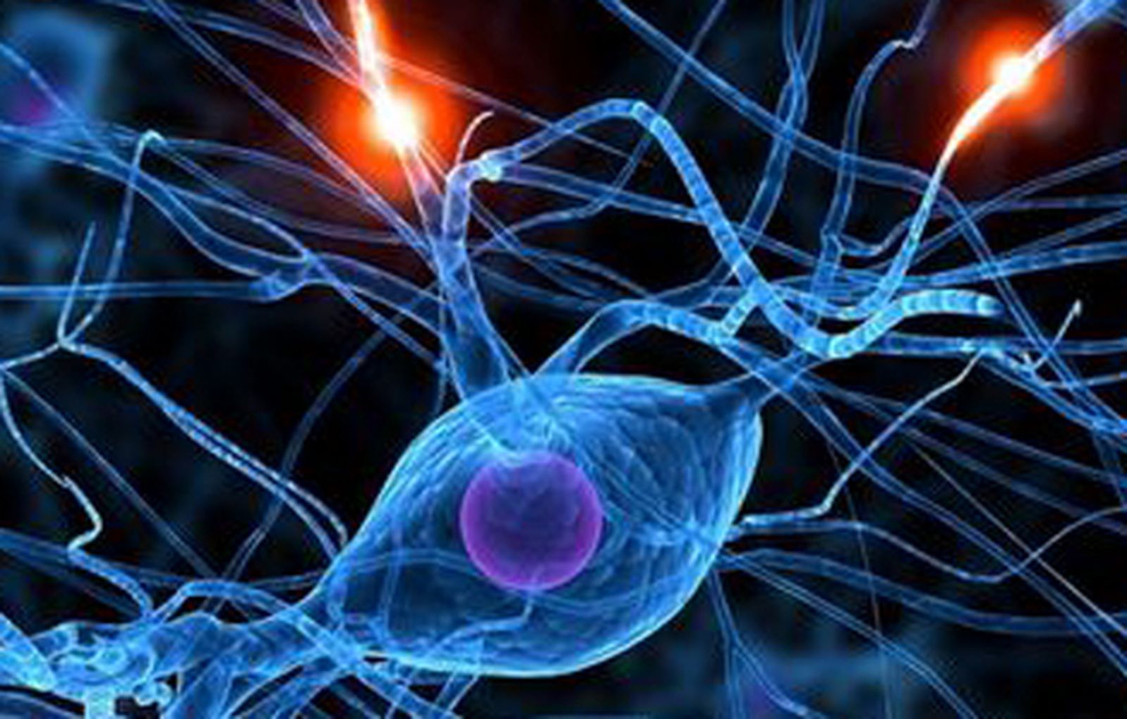 ciencia_neuronasdehoy