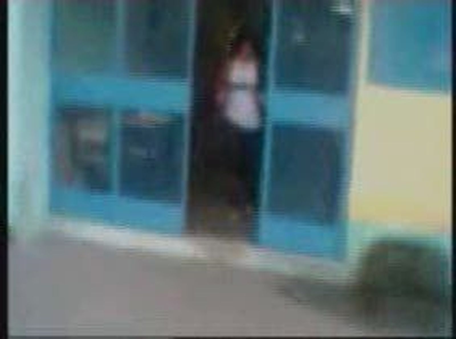 El asesino de Brasil dejó grabado un video en el que justifica la matanza