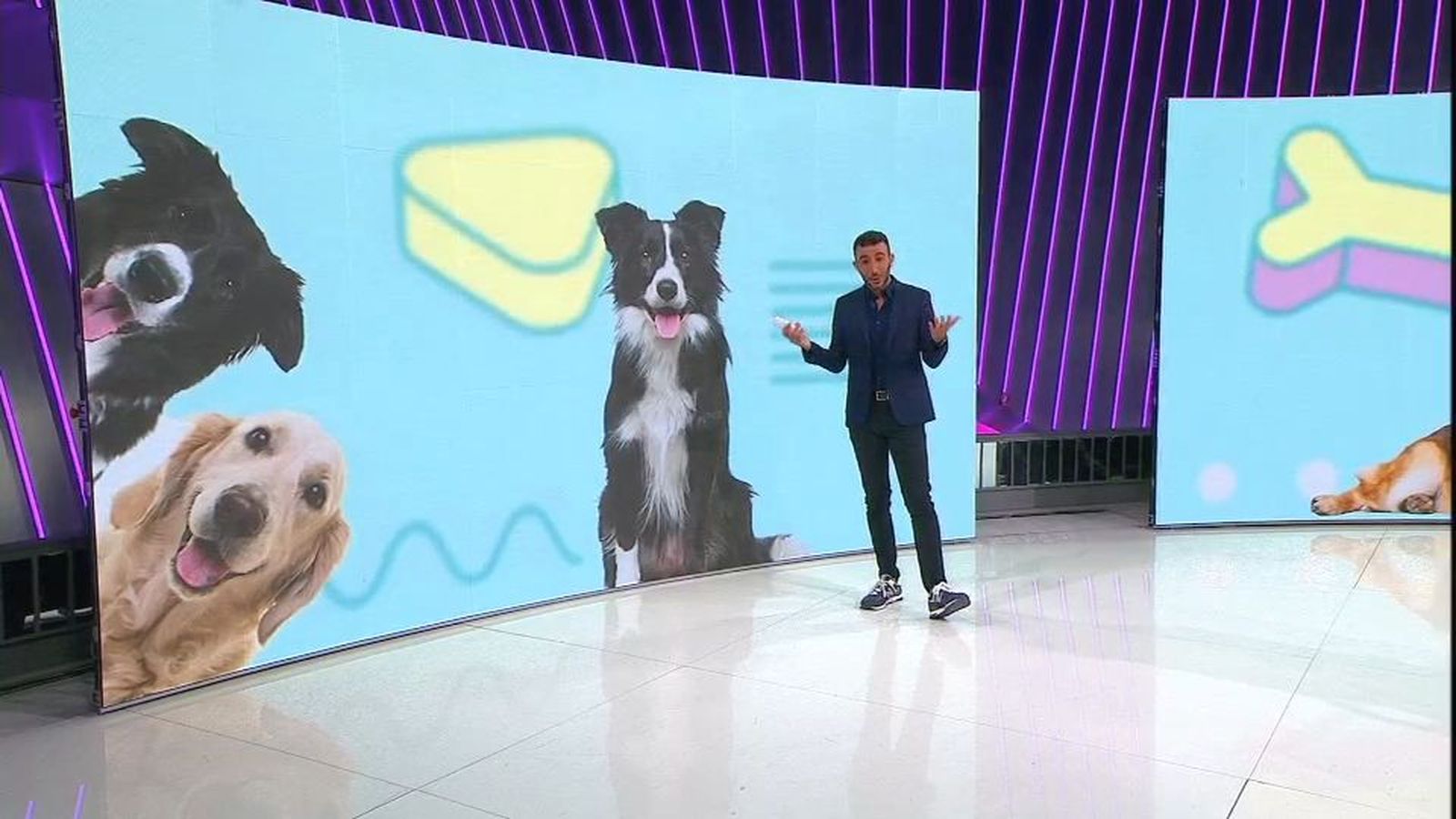 La inflación también afecta a los perros