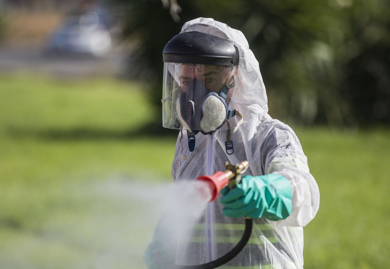 Labores de fumigación en Sevilla