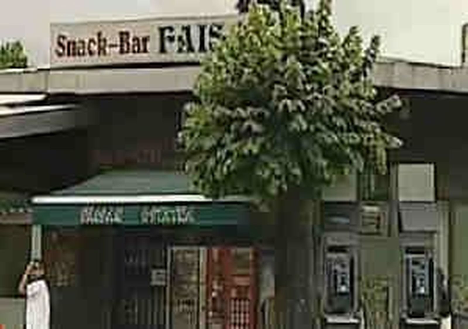 faisan_2011414V0.wmv