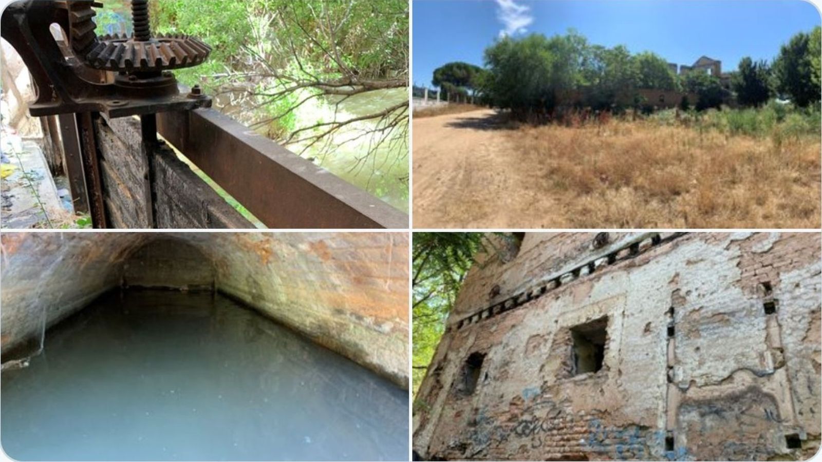 Proyecto de Renaturalización del río Henares