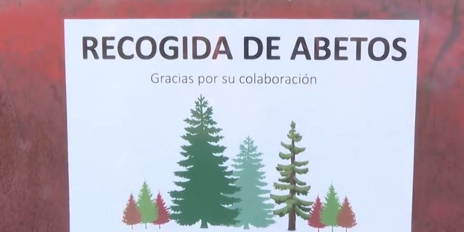 Comienza la campaña municipal de recogida de abetos navideños hasta el 31 de enero