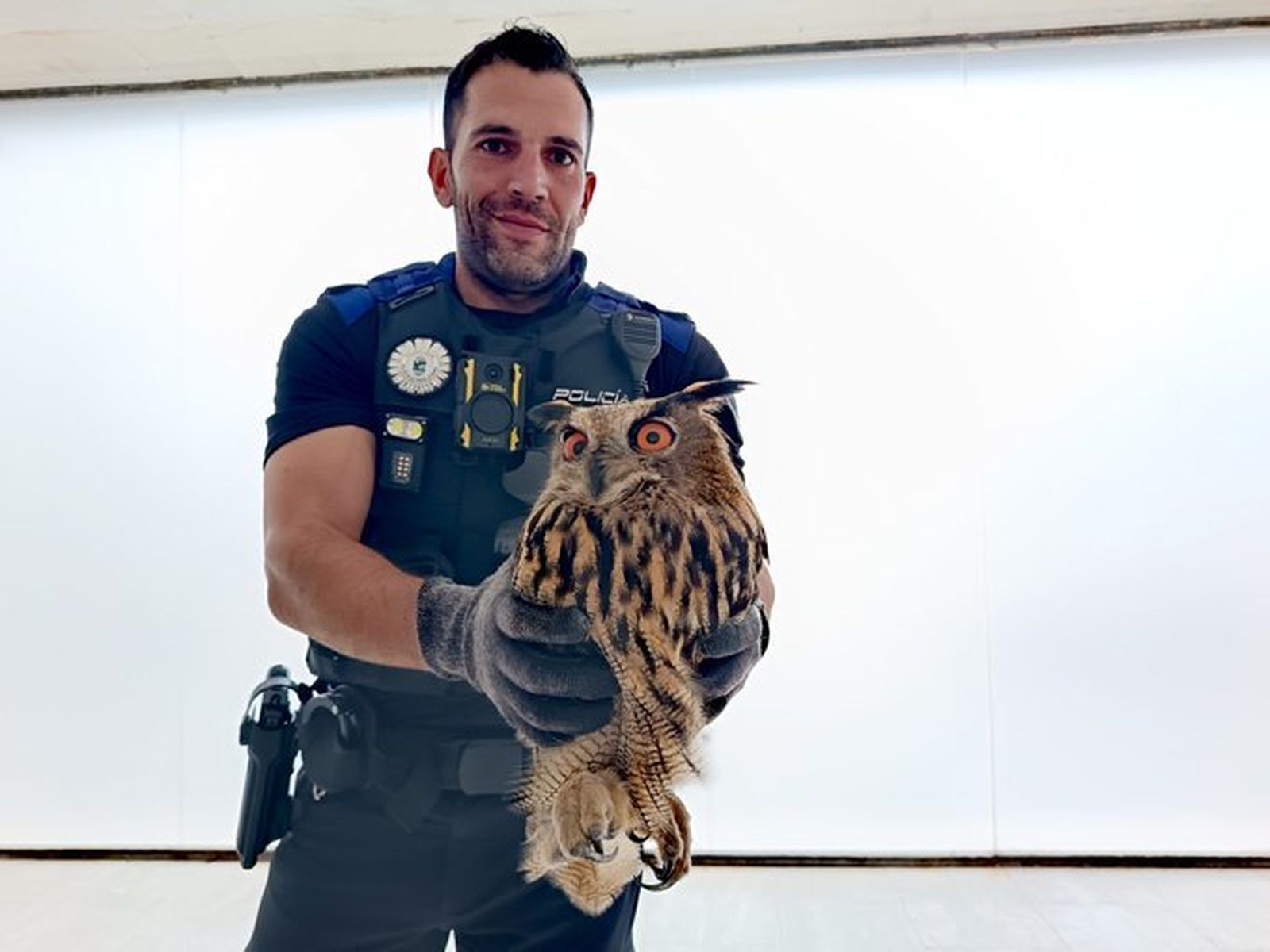 Policía local de San Fernando de Henares con el búho real rescatado