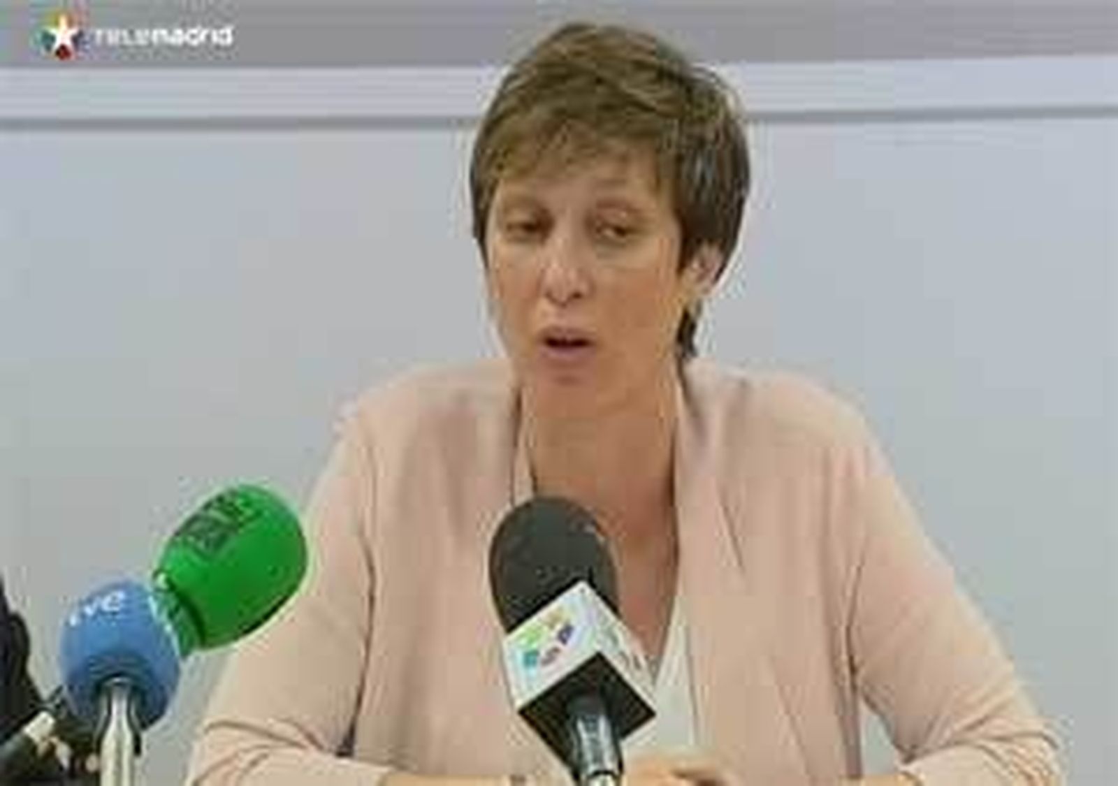 Los partidos de la Asamblea dudan de su supervivencia sin financiación pública