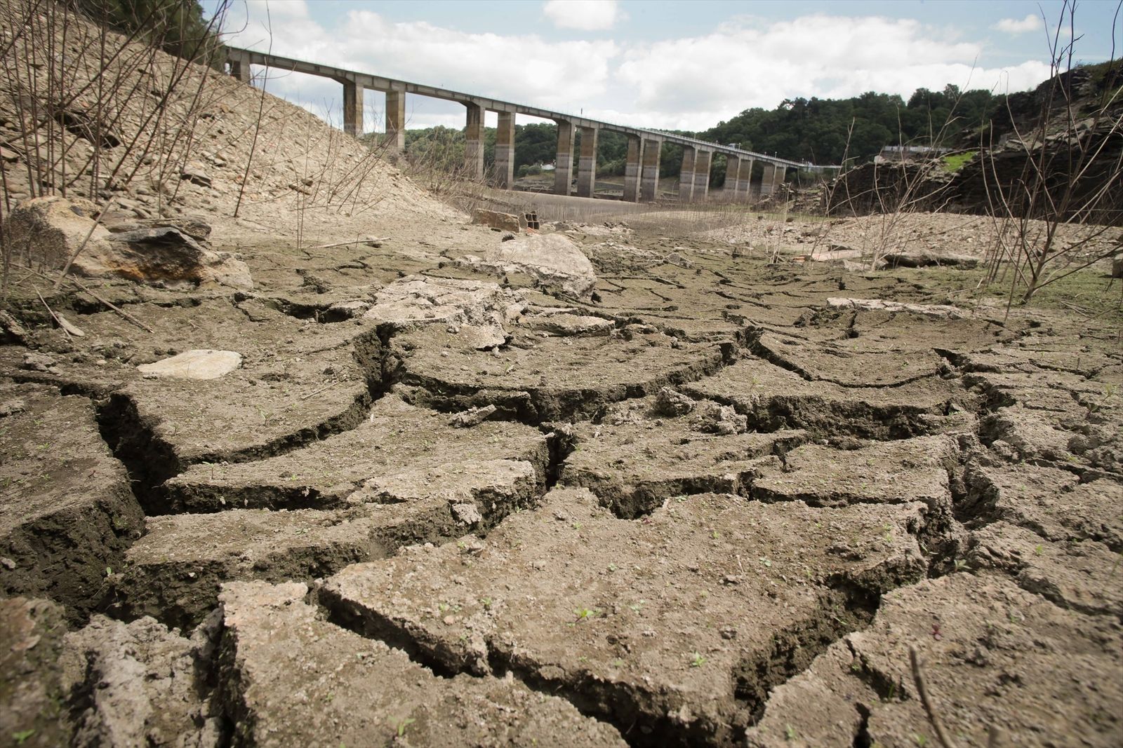 Efecto del cambio climático sobre las reservas en los embalses