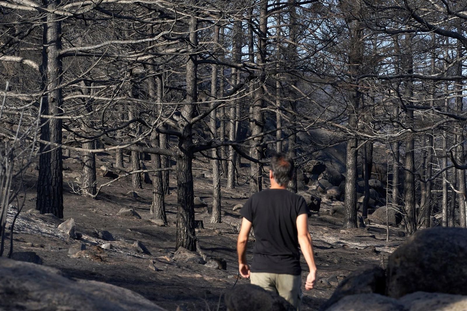 El incendio de Ávila baja a nivel 1 de peligrosidad