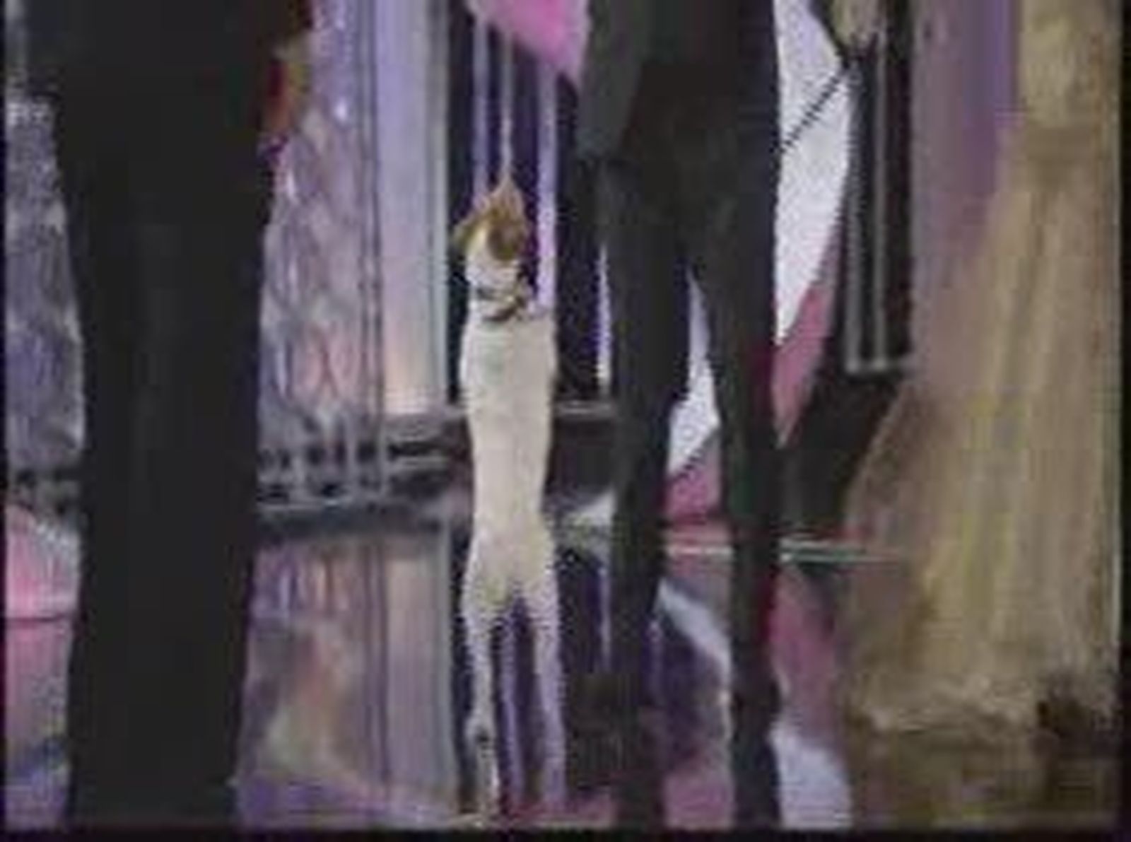 Uggie, el perro de "The Artist" copa las nominaciones a los "óscar perrunos"