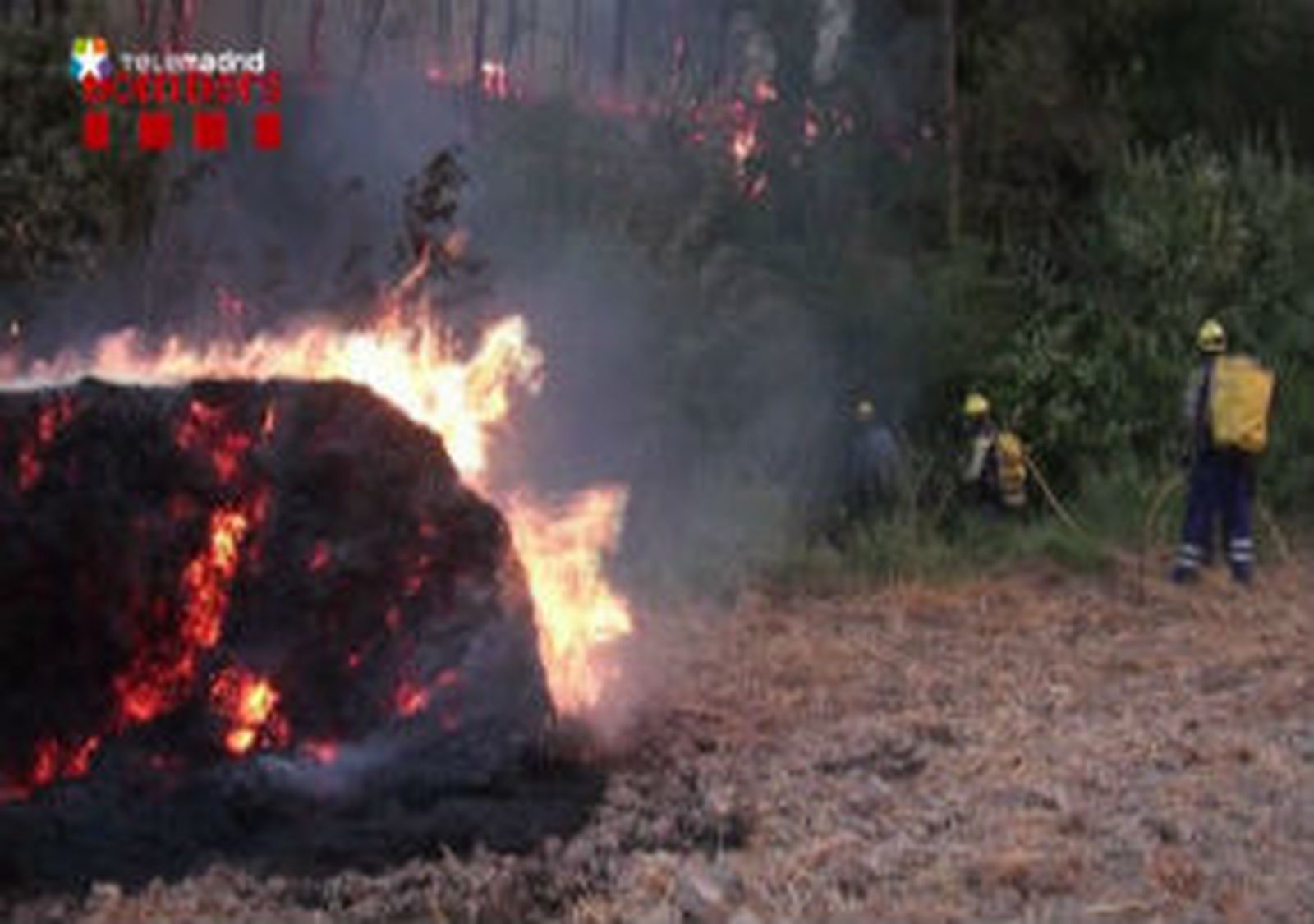 Incendio Forestal