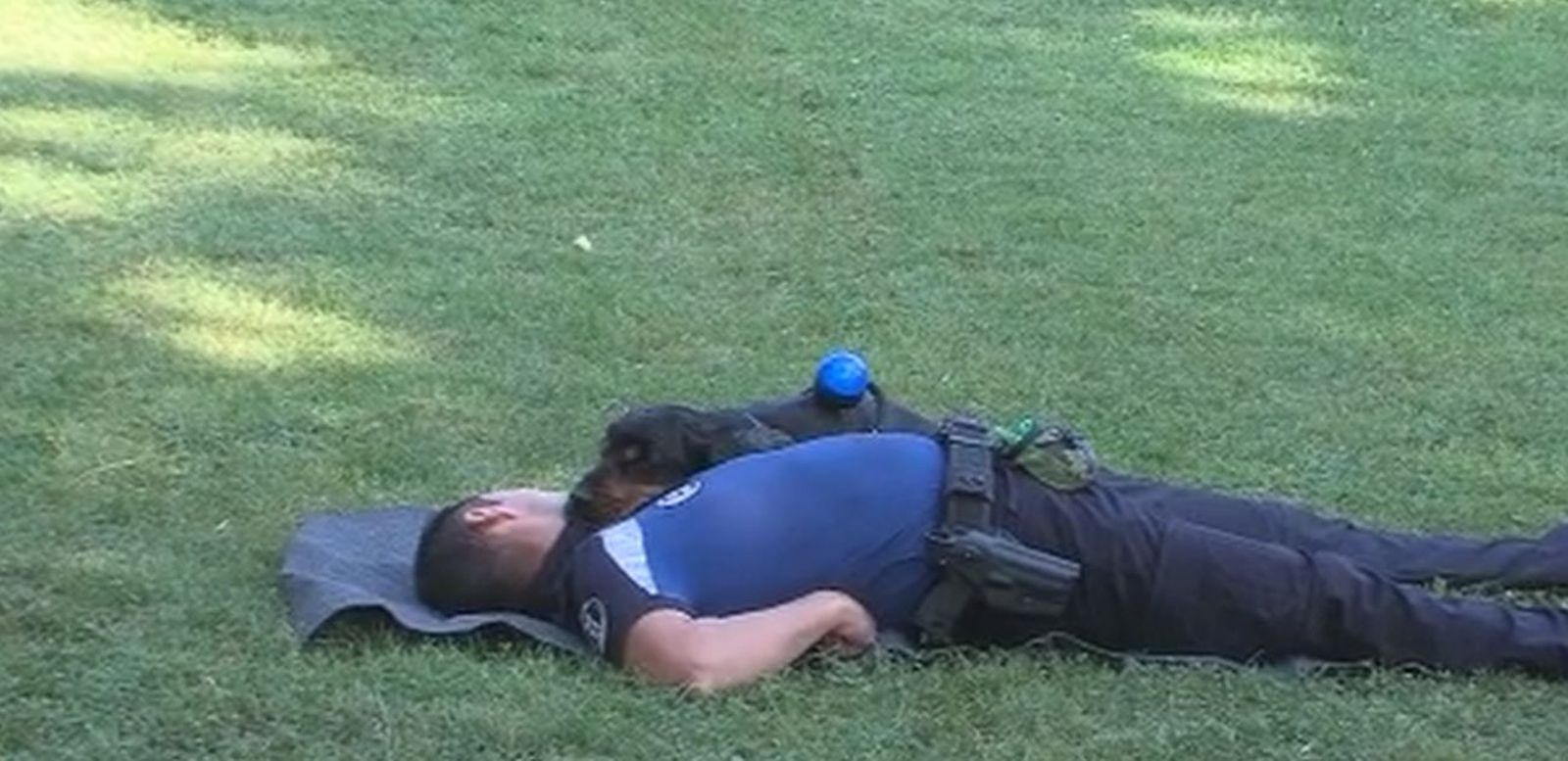 Perro policía practicando una RCP