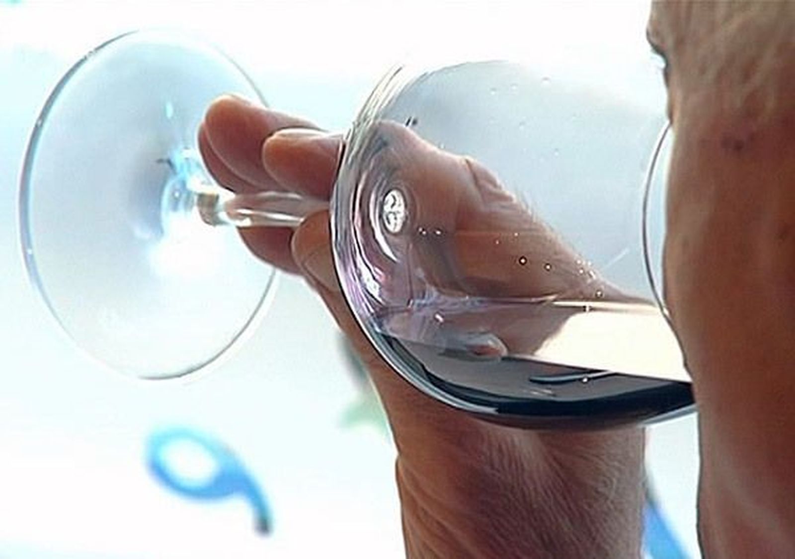 La Comunidad celebra los 25 años de la Denominación de Origen Vinos de Madrid