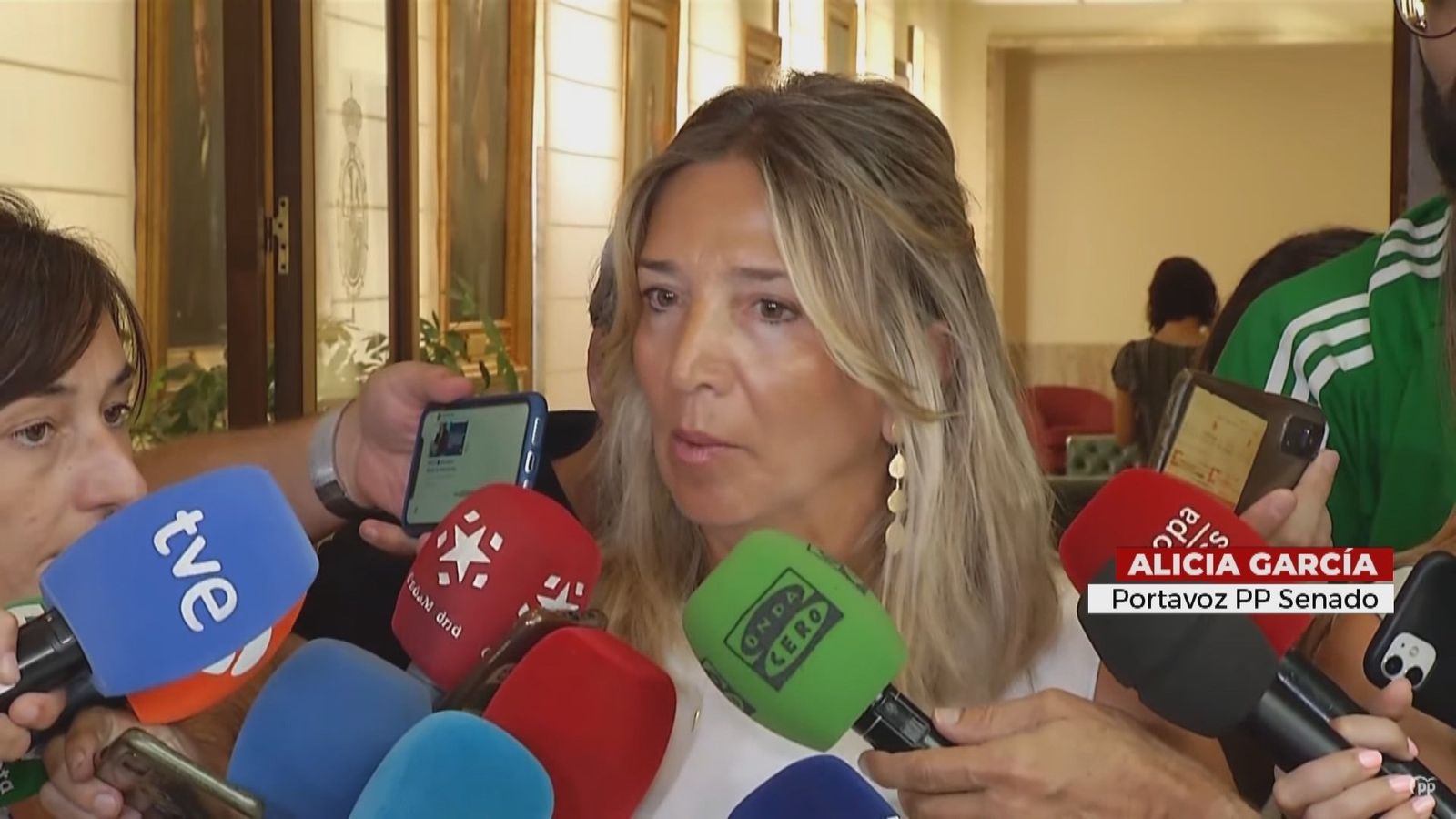 Albares comparece en el Senado
