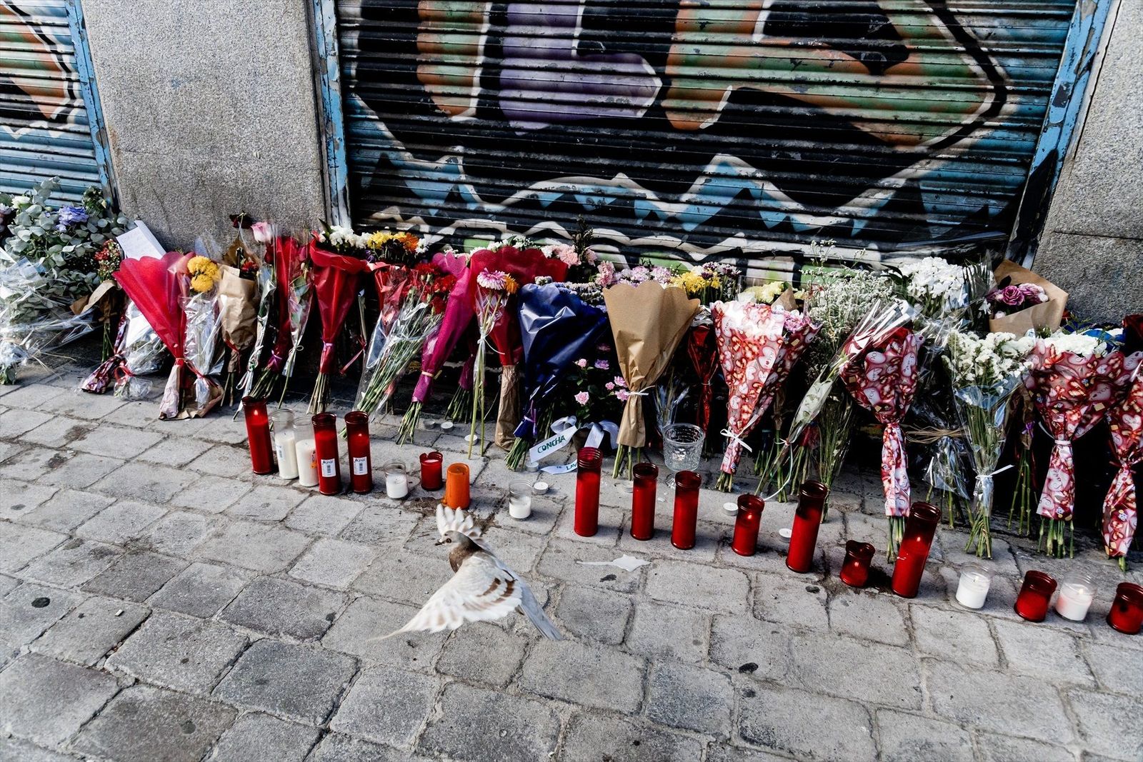 "No te llegas a acostumbrar a las peleas pero las asumes como algo normal del día a día", así es la vida diaria en Lavapiés