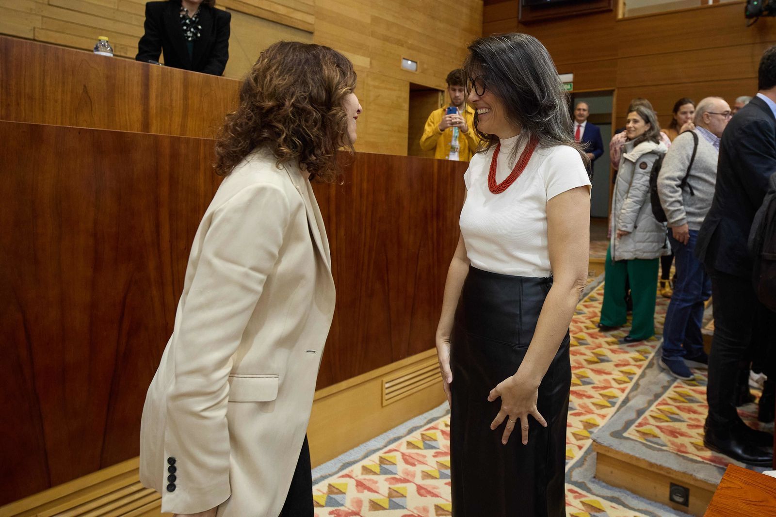 Pleno de la Asamblea de Madrid