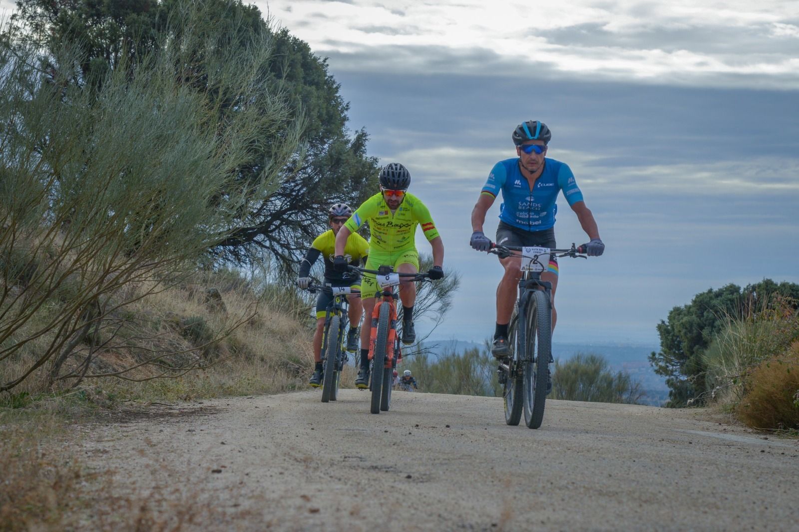 Mountain bike
