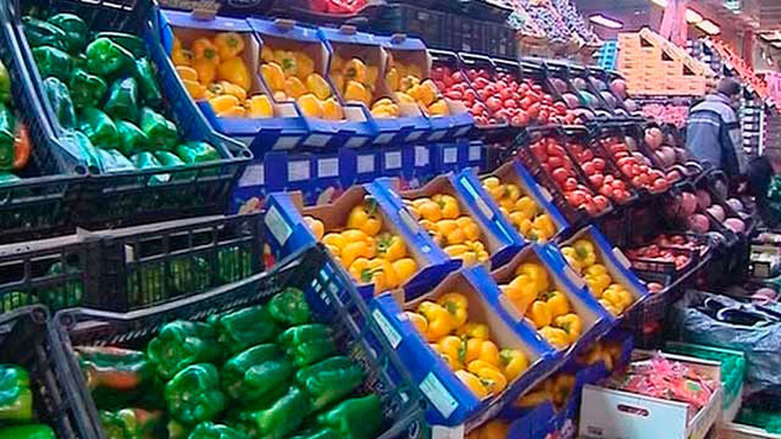 Verduras, frutas y hortalizas