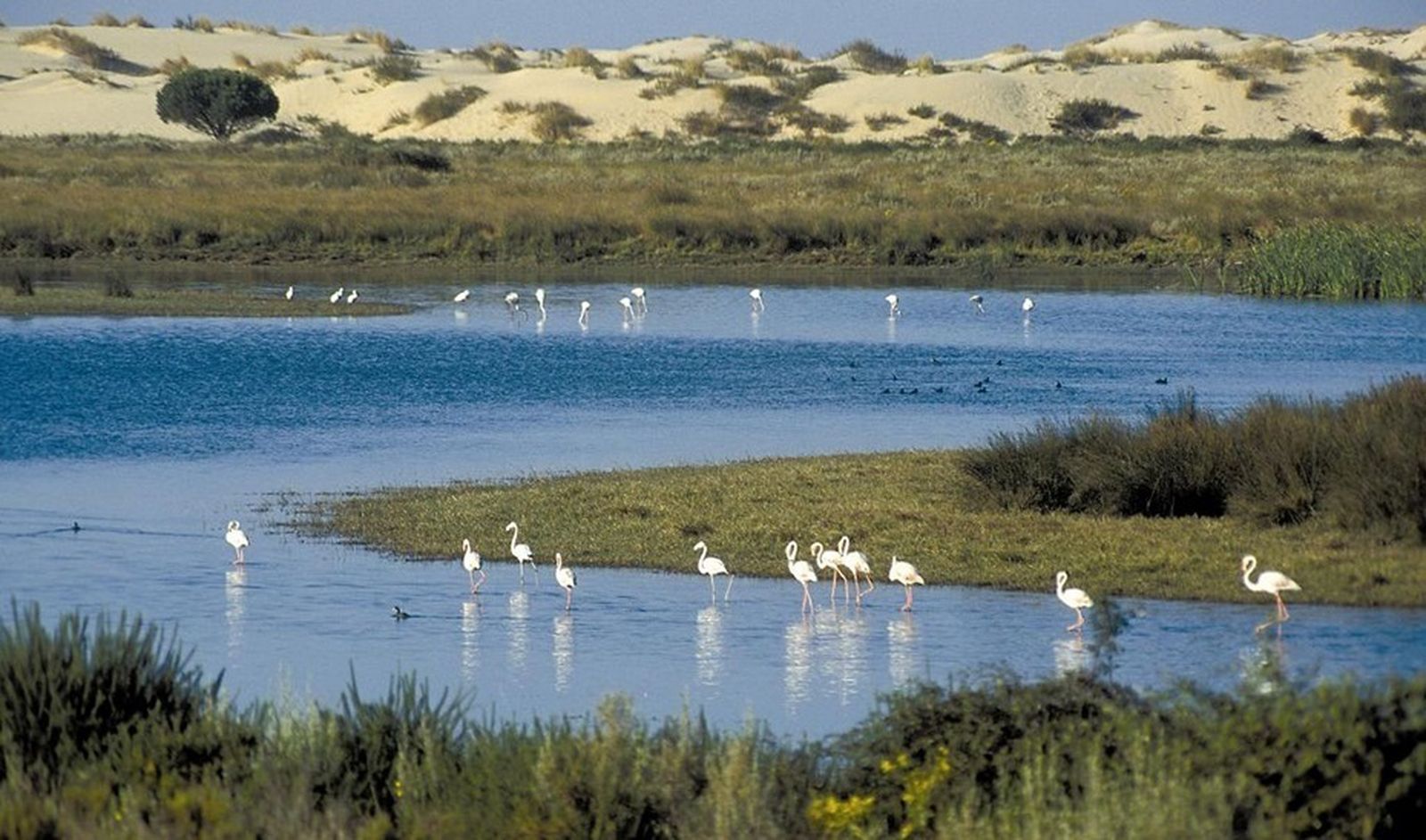 Parque Nacional de Doñana